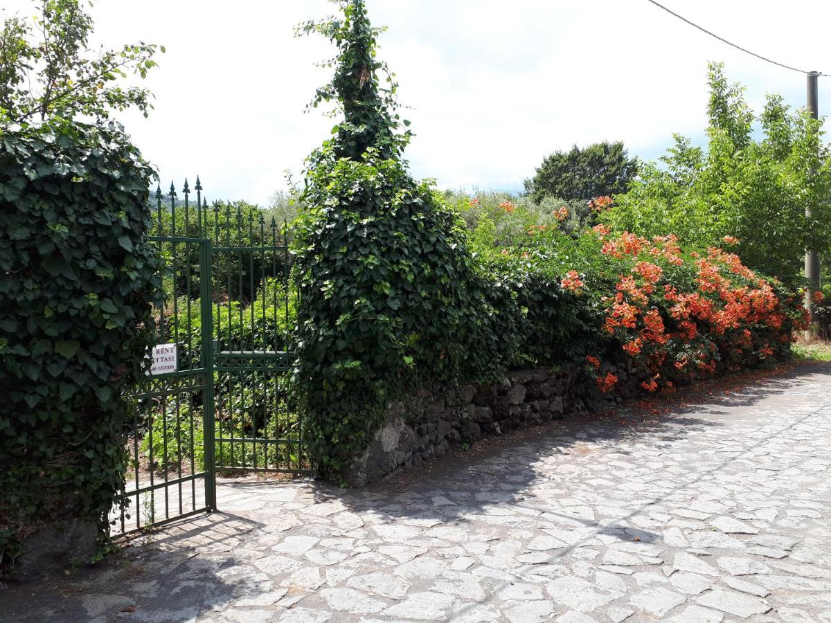 Villa Vecchio カスティリオーネ・ディ・シチーリア エクステリア 写真